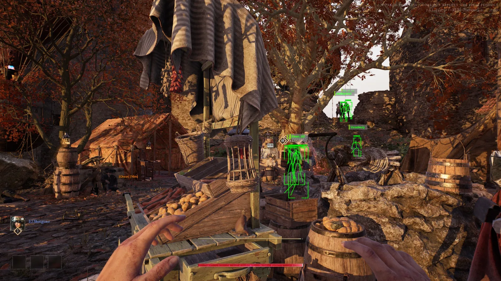 Hunger cheat in game: player skeleton and box ESP with names and distance
